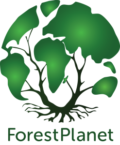 Cool Swag from ForestPlanet Custom Shirts & Apparel